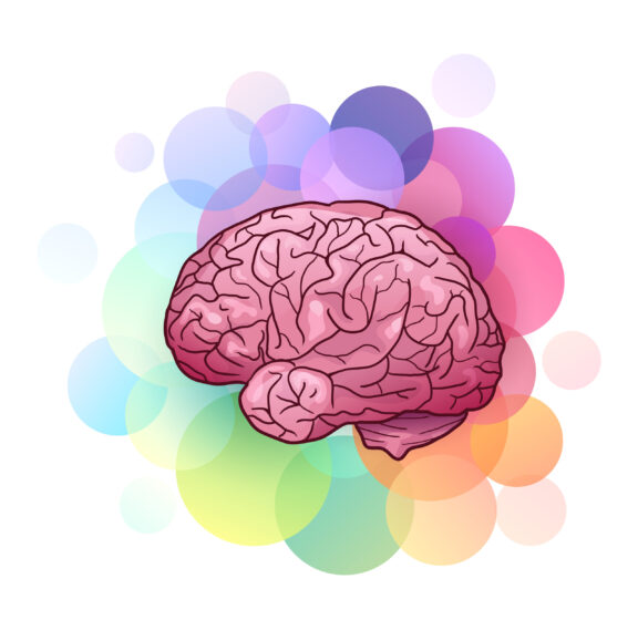 illustrated brain with background of multicolored rainbow of circles